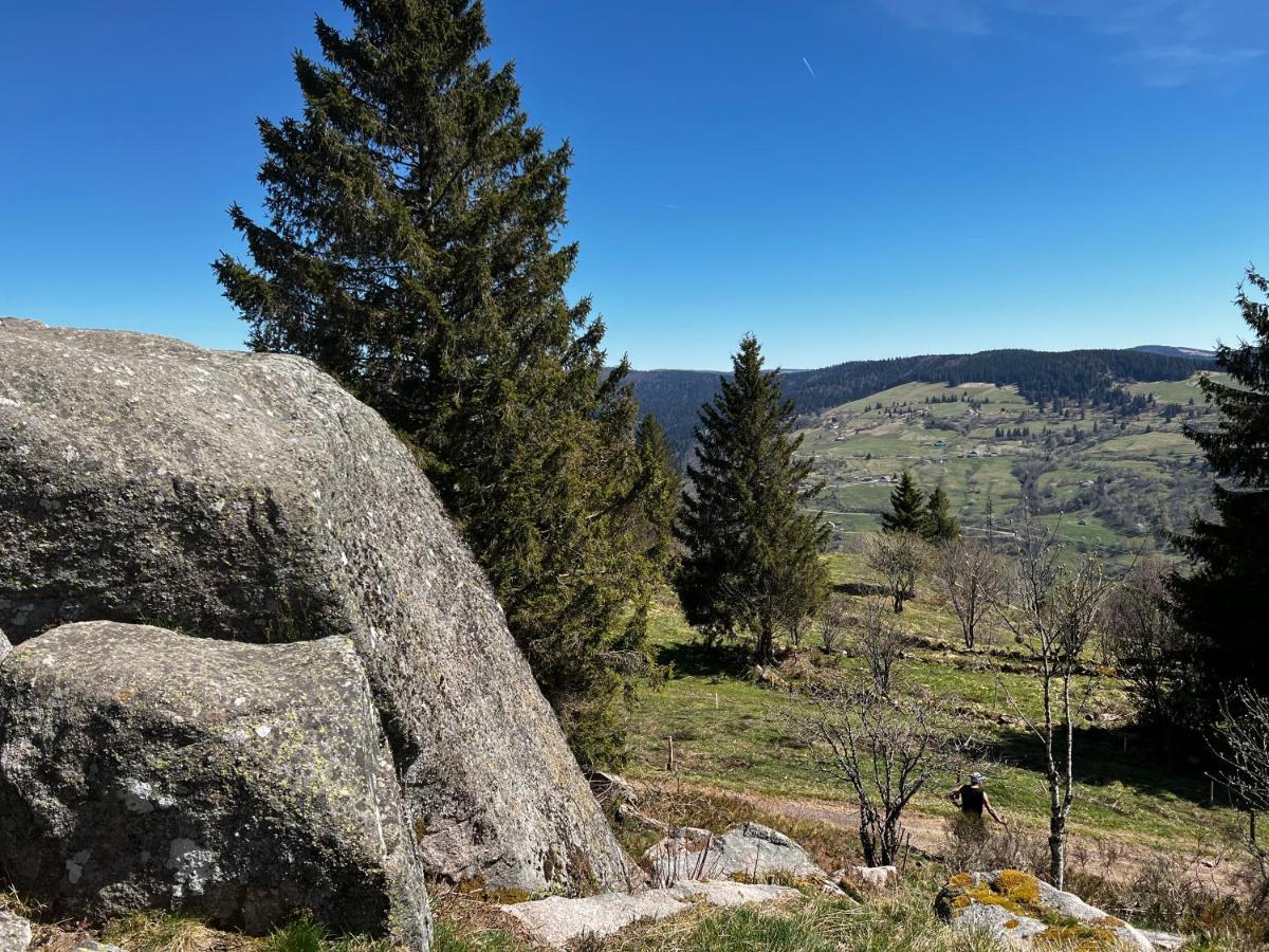 Le Petit Kichon Appartement Gérardmer Buitenkant foto