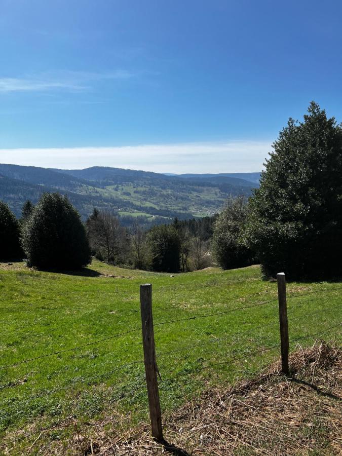 Le Petit Kichon Appartement Gérardmer Buitenkant foto