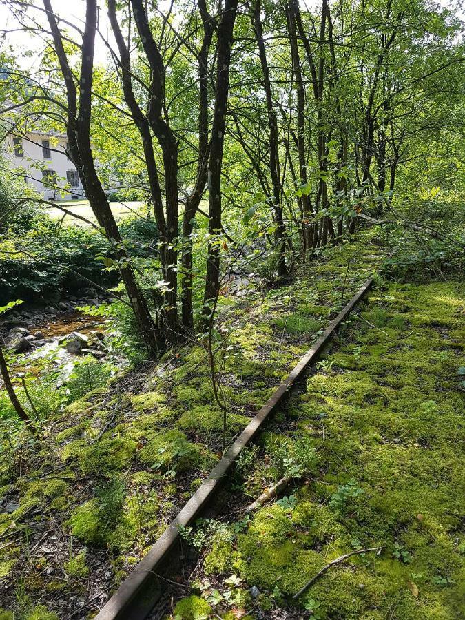 Le Petit Kichon Appartement Gérardmer Buitenkant foto